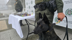 Los perros Axel y Ares descubrieron encomiendas con droga para el Centrosur de Caldas