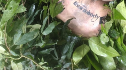 Encontraron un cuerpo en el río Cauca, en vía Manizales-Medellín, zona de Caldas