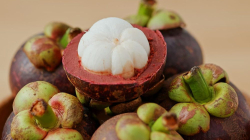 Fruto exótico de Colombia obtiene Denominación de Origen y fortalece la agricultura del Norte del Tolima