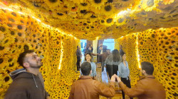 Van Gogh se siente: así viven la exposición inmersiva los manizaleños, ha cautivado a 6 mil visitantes