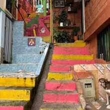 Alcaldía responde por caso de aguas escorrentía en barrio Renán Barco.