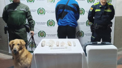 Hombre intentó pasar marihuana camuflada en chorizos por aeropuerto internacional del Eje Cafetero 