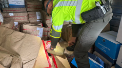 Golpe al narcotráfico en Manizales: decomisan 380 kilogramos de marihuana que iban en encomienda