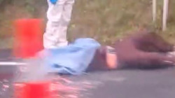 Peatón murió tras ser atropellado por vehículo fantasma en Pereira: aún no se sabe la identidad de la víctima