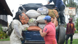 Los tres efectos que enfrenta la caficultura de Colombia y que han generado baja cosecha y regulares precios