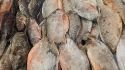 Inspección en la Galería de Manizales: retiran de circulación 11,5 kilos de pescado en mal estado