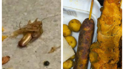 Manizales: 40 kilos de alimentos en mal estado y siete actividades económicas suspendidas en la carrera 23