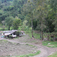 Desmantelan crematoriode mascotas en Villlamaría