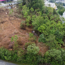 Habitantes de calle invaden reserva Camino de la Palma