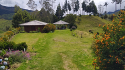 Caldas, un destino turístico apetecido: gremio reporta más ingresos, estos son los paisajes que lo impulsan