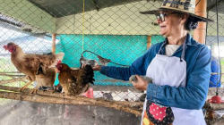 Carmen Elvira recibió $90 millones, sacó adelante su empresa y continúa palo arriba 