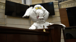 ¿Quién es Luis Carlos Rúa? El 'Elefante Blanco' que pasó de TikTok al Congreso