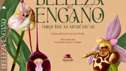 Editorial de Manizales lanza libro sobre 40 orquídeas de Colombia, conozca esas maravillas de la naturaleza