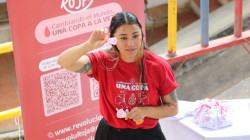 ¿De qué están hechas las toallas y tampones? Conozca el riesgo para el cuerpo y otras alternativas  