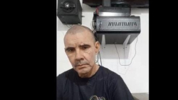 Caldas: golpeó violentamente a una gata hasta causarle la muerte