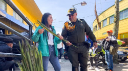 Recuerde evitar el uso de palma de cera en el Domingo de Ramos en Manizales: estas son las alternativas