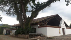 Semana Santa 2026: esta es la programación en la parroquia Santa Teresita del Niño Jesús de Santágueda, Caldas