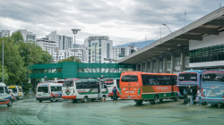 Capital del Eje Cafetero espera movilizar 200.000 pasajeros en Semana Santa: conozca las medidas para viajar