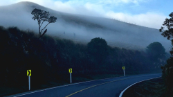 Vía Manizales - Murillo: pico y placa para este puente festivo, 21, 22 y 23 de marzo del 2026