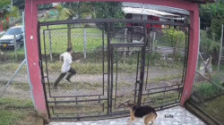 Juez habla sobre dominación patriarcal y machismo en condena a pastor por abuso de su hijastra en Caldas