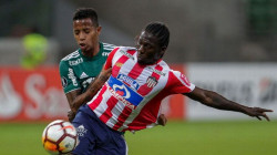 Copa Libertadores: un irregular Junior de Barranquilla se mide a un sólido Palmeiras, líder del Brasileirao