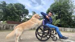La perra Mandarina y la vocación de salvar vidas sin palabras; entrenamiento canino, en fotos y video