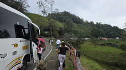 Vía Manizales - Bogotá, habilitada tras accidente de tránsito que deja una persona muerta: choque con una mula