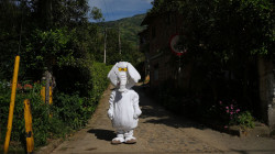 “Buscaré regular el sistema de peajes en el país”: Rúa, el Elefante Blanco, habla de sus apuestas como senador