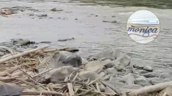 Encuentran cuerpo en el río Cauca: estaba en avanzado estado de descomposición y no lo han identificado