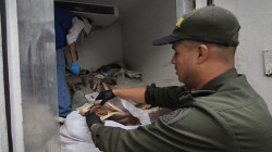 Incautan 939 kilos de pescado en operativos sanitarios en Manizales y Villamaría