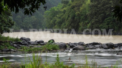 Hallan un hombre muerto en el río Cauca, el segundo en dos semanas en municipio de Caldas