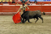 Toros y Ciudad