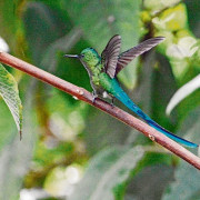 Senderos para la biodiversidad