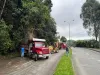 Retiran material vegetal que cayó sobre la avenida Alberto Mendoza (Manizales)