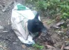 Lanzaron la mascota por un barranco, dentro de un costal