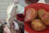 Colegios en Caldas alimentan quejas sobre el PAE