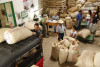 Comenzó a operar plan de salvamento a las cooperativas de café: ya se han recuperado 22 millones de kilos