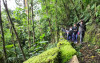 Explore 2,4 km de senderos de biodiversidad a 30 minutos del Centro de Manizales: una experiencia inolvidable